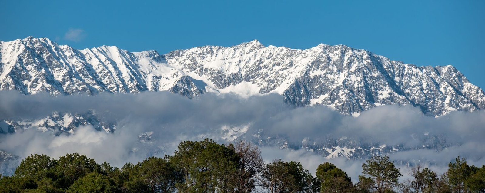 Dharamshala History
